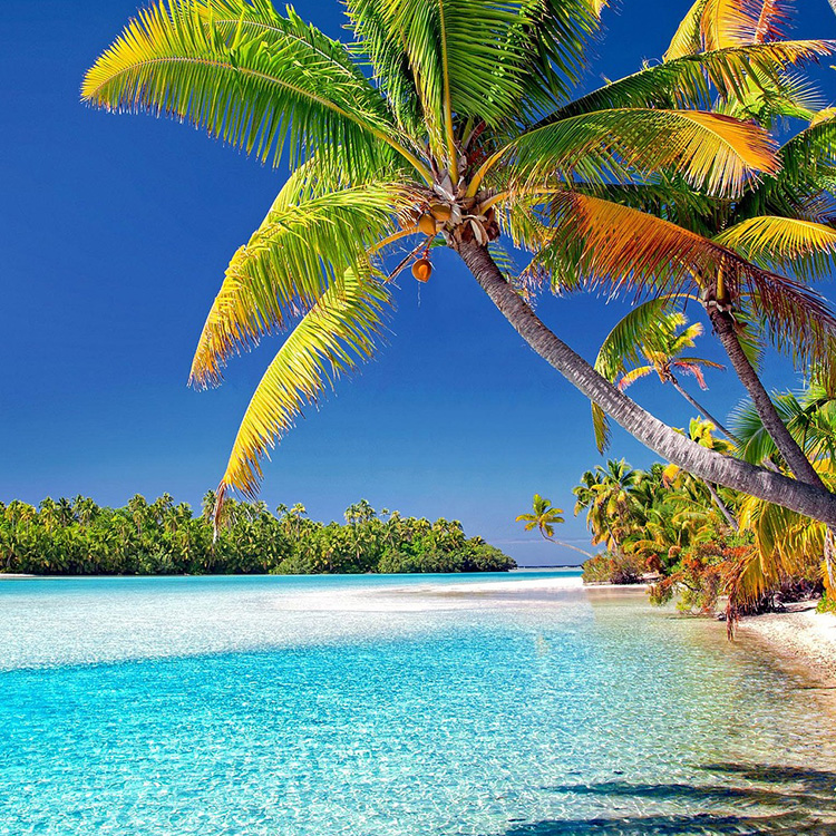 Bilder volaTwo Cook Islands